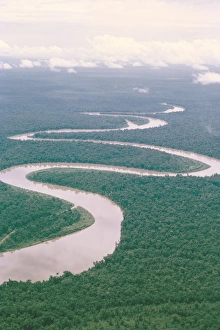 Overcast Sky Prints: Aerial view of river and forest, West Irian (Irian Jaya)
