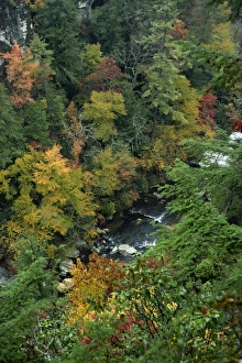 North Carolina Prints: Aerial view over river running through the Linville