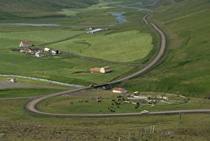 Aerial view of a road and farm with horse pens
