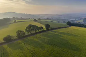 Aerial view of rolling countryside at dawn on a hazy summer day, Devon, England