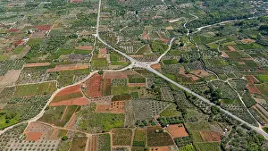 Roads Prints: Aerial view showcasing the layout of Stari Grad plain in Hvar