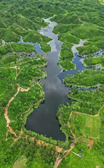 Parks Prints: Aerial view showing the tea region landscape with water bodies and greenery in Sreemangal