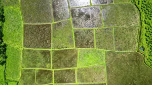 Irrigation Prints: Aerial view shows green fields and waterlogged patches in Sreemangal tea region of Bangladesh during daylight