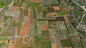Irrigation Prints: Aerial view shows the layout of agricultural fields at Stari Grad plain in Hvar Island in Croatia