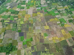 Irrigation Prints: Aerial view shows rice paddies surrounding the UNESCO site Somapura Mahavihara in Bangladesh during the growth season