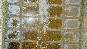 Land Prints: Aerial view shows saltpans arranged in patterns in Tavira