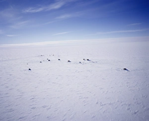 Base Prints: Aerial view of Siple Station, main base is 40ft under the ice