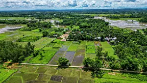 Irrigation Prints: Aerial view of tea fields and greenery in Sreemangal region of Bangladesh with farms and villages visible