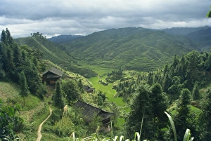 Guizhou Prints: Aerial view over terraced valley between Taijang and Fanpai, Guizhou Province