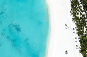 The Maldives Prints: Aerial view of tropical beach and lagoon, The Maldives, Indian Ocean, Asia