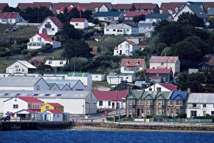 Clustered Prints: Aerial view of the waterfront, Stanley, East Falkland, Falkland Islands
