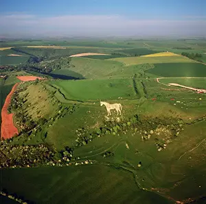 View From Above Prints: Aerial view of the Westbury White Horse and the Iron Age Bratton Camp Hill Fort
