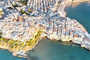 Apulia Prints: Aerial view of white buildings of Vieste by the crystal sea, Foggia province
