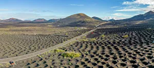 Crater Prints: Aerial view of wine growing district of La Geria