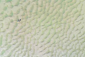 Aerial vista of people standing on the Doom Bar at low tide, Camel Estuary, Padstow