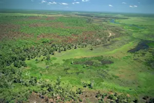 Northern Territory Prints: Aerial of wetlands on the floodplain of East Alligator River forming the border beween Arnhemland