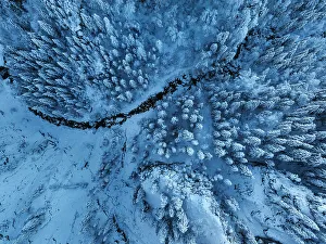 Winter Scene Prints: Aerial of a winter forest, Schwangau
