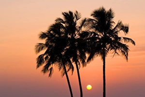 Images Dated 11th February 2008: Agonda Beach, Goa, India, Asia