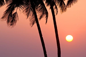 Images Dated 11th February 2008: Agonda Beach, Goa, India, Asia