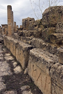 Images Dated 19th October 2007: Agora, Greek and Roman ruins, Cyrene, UNESCO World Heritage Site, Libya