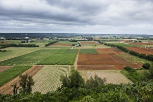 Arable Farming Prints: Agricultural fields, Minami Daito, Daito Islands, Japan, Asia