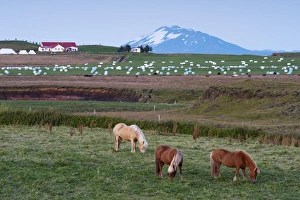 Images Dated 21st August 2009: Agricultural land at the foot of the mighty volcano Hekla, north of Hella