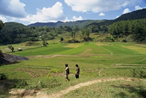 Toraja Prints: Agricultural landscape with two figures walking through fields