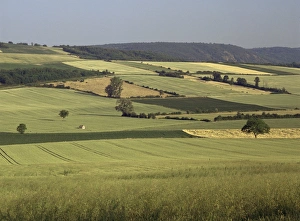 Auvergne Prints: Agricultural landscape near Clermont Ferrand, Auvergne, France, Europe
