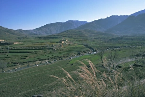 Pakistani Prints: Agricultural landscape near Murghazar