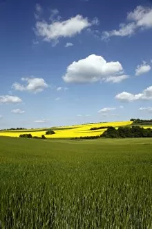Images Dated 23rd May 2010: Agricultural landscape at Saargau near Kirf, Rhineland-Palatinate, Germany, Europe