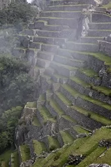 Images Dated 20th November 2010: Agricultural terraces in the Inca city, Machu Picchu, UNESCO World Heritage Site, Peru