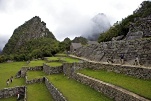 Machu Picchu Prints: Agricultural terraces, Machu Picchu