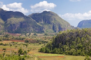 Images Dated 26th May 2008: Agriculture in the dramatic Valle de Vinales, UNESCO World Heritage Site