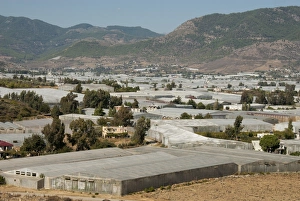 Commercialism Prints: Agriculture under plastic, Anamur Plain