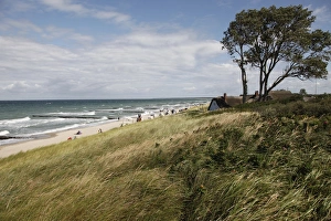 Images Dated 13th August 2009: Ahrenhoop, Baltic Sea, Darvu-Fischland, Mecklenburg-Western Pomerania, Germany, Europe