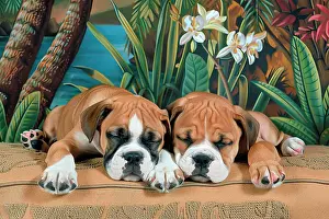Puppies Prints: AI generated image of Two cute boxer pups sleeping on cushions