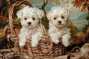 Puppy Prints: AI generated image of Two cute Maltese pups sitting in a wicker basket