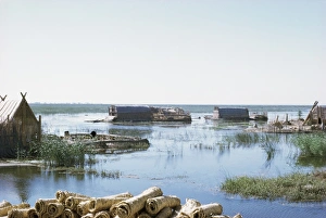 Marshes Prints: Aiado, Marshes