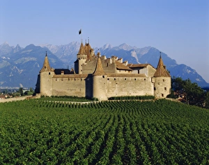 Aigle Chateau and vineyard
