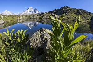 Alpine Scene Prints: Aiguille Verte from Lac des Cheserys, Haute Savoie, French Alps, France, Europe