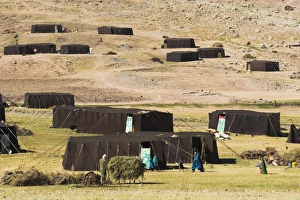 Bivouac Prints: Aimaq nomad camp, Pal-Kotal-i-Guk, between Chakhcharan and Jam, Afghanistan, Asia