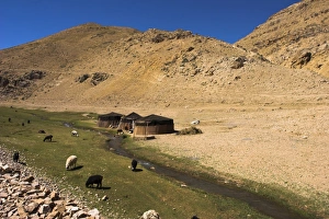 Nomad Prints: Aimaq nomad camps, near village of Jam, Afghanistan, Asia