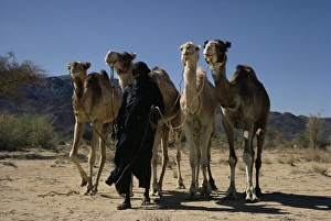 Tuareg Prints: Air Mountains, Niger, Africa