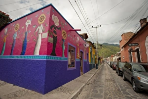 Images Dated 10th October 2009: Ajijic, Lake Chapala, Jalisco, Mexico, North America