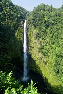 Surface Processes Prints: Akaka Falls