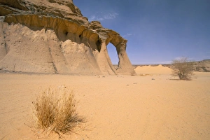 Images Dated 26th April 2005: Akakus, Sahara desert, Fezzan, Libya, North Africa, Africa