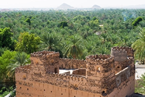 Oasis Prints: Al Mudhaireb Village, Al Sharqiyah region, Sultanate of Oman, Arabian Peninsula
