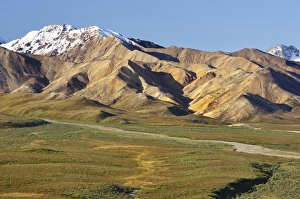 Images Dated 20th August 2008: Alaska Range, Denali National Park and Preserve, Alaska, United States of America