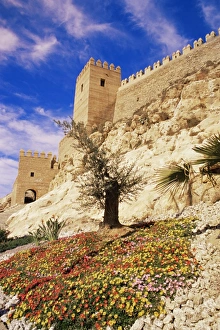 Strong Prints: Alcazaba towers and walls