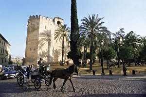 Working Animal Prints: Alcazar de los Reyes Christianos